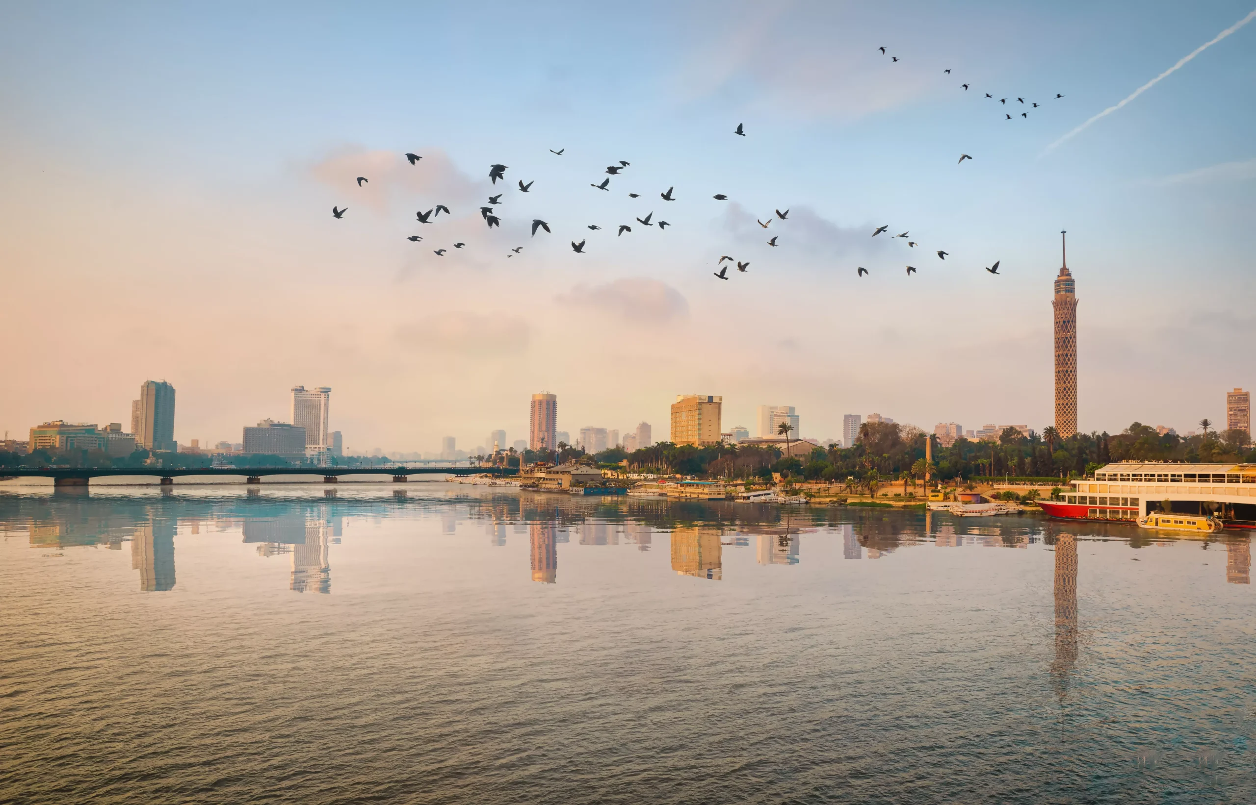 the-flock-of-birds-over-river-nile